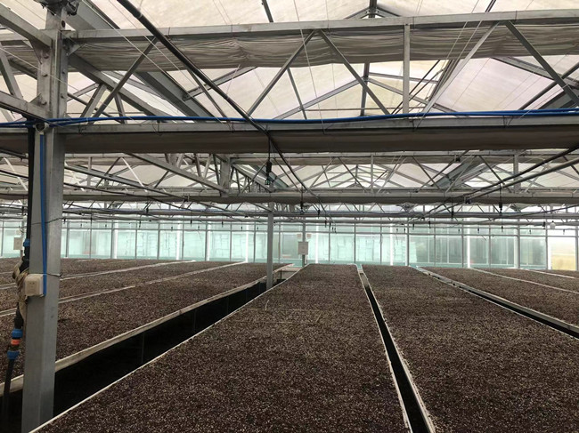 溫室控制系統(tǒng)-內(nèi)部圖.jpg 溫室控制系統(tǒng)-內(nèi)部圖.jpg