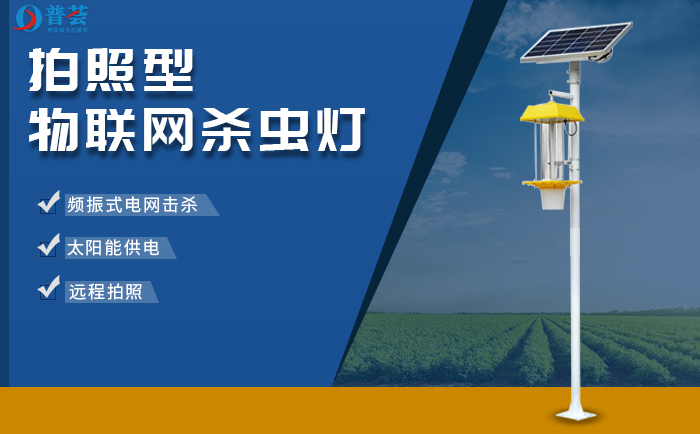 拍照型物聯(lián)網(wǎng)殺蟲燈，讓種植者實現(xiàn)針對性防治