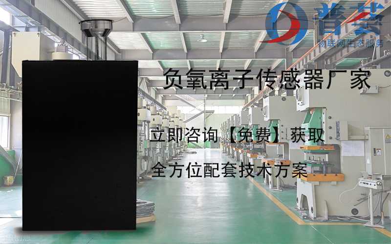 負(fù)氧離子傳感器廠家哪家好