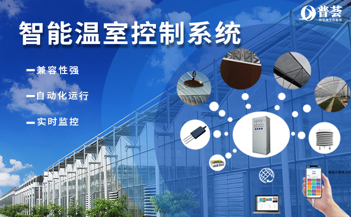 ?  武漢新普惠“加持”的現(xiàn)代農(nóng)業(yè)有多牛？